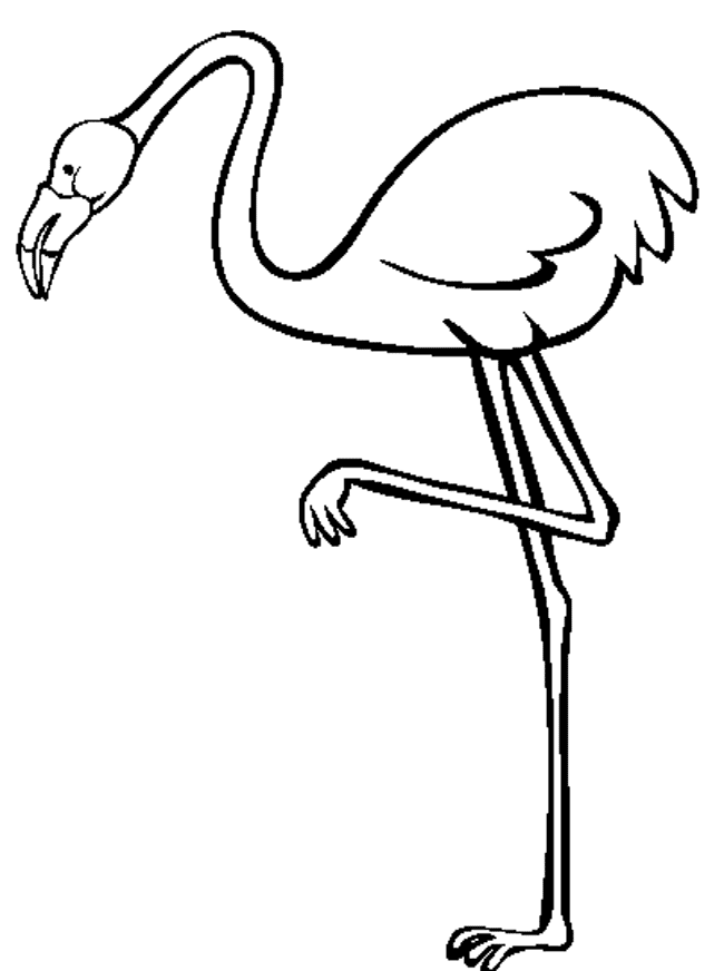 desene de colorat pasare flamingo